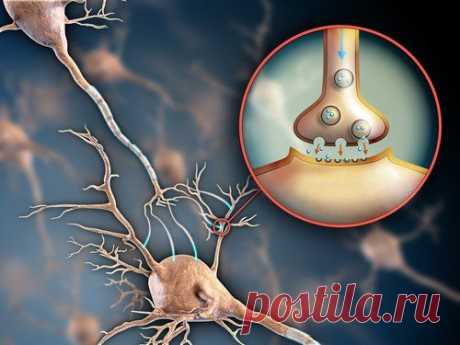 6 formas de mantener sano tu sistema nervioso - Mejor con Salud