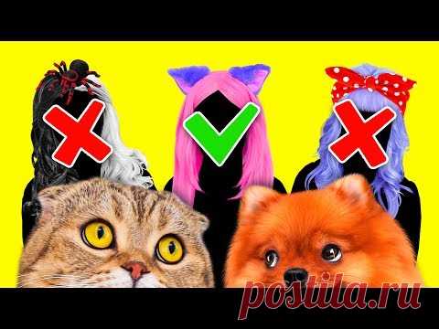 ВЫБЕРИ ПРАВИЛЬНУЮ не вредную НЯНЮ чтобы КОТИК и ПЕСИК не скучали ОДНИ В ДОМЕ