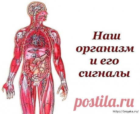 Наш организм и его сигналы: полезная памятка!