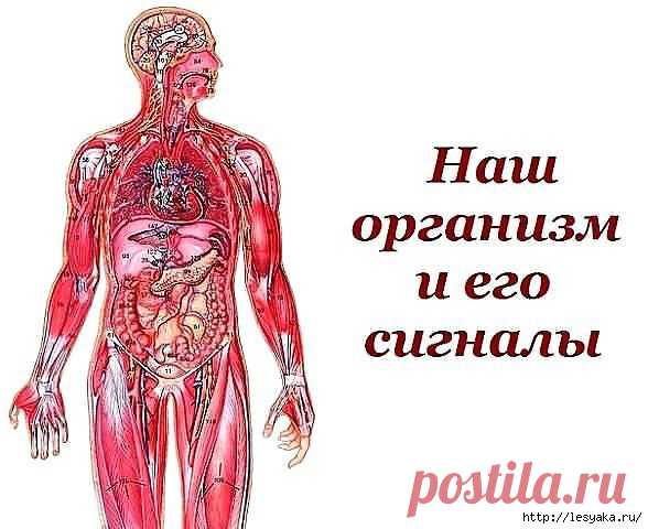 Наш организм и его сигналы: полезная памятка!