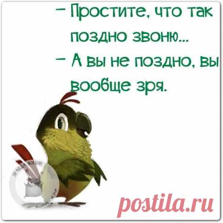 Позитивные фразочки в картинках