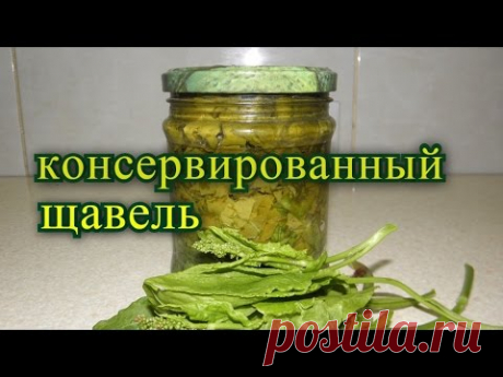 Щавель на зиму. консервированный  пятиминутка