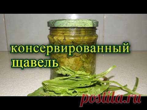 Щавель на зиму. консервированный  пятиминутка