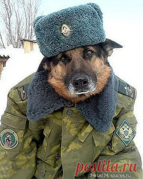 прапорщик