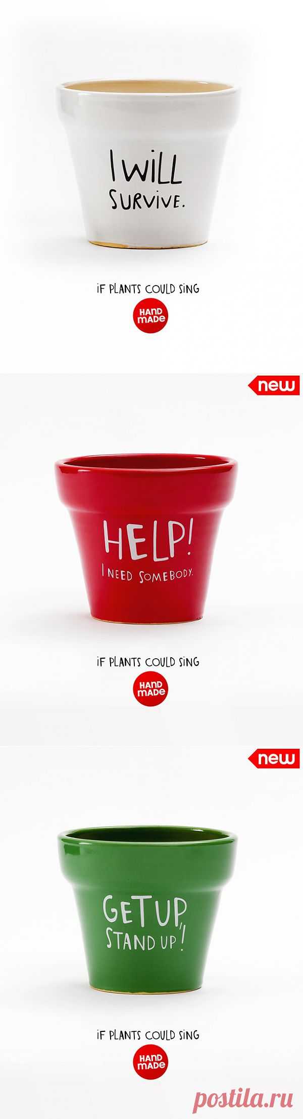 Горшки для музыкально эстетствующих цветоводов / Цветы / Модный сайт о стильной переделке одежды и интерьера