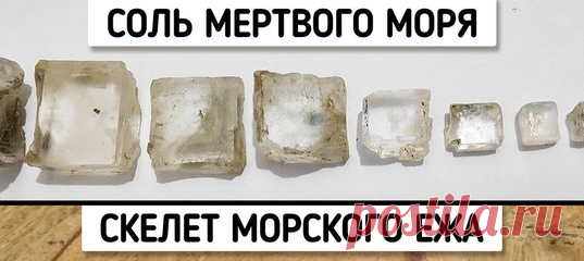 16 доказательств того, что обычные вещи умеют удивлять не хуже новостных заголовков