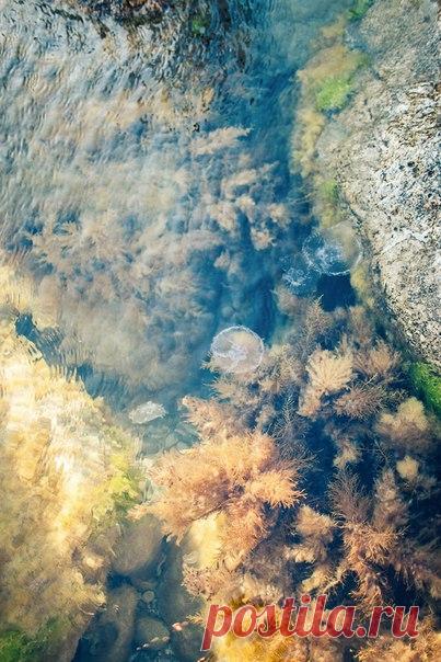 Южный берег Крыма утопает в нежном солнце и Черном море. Посмотреть продолжение истории: