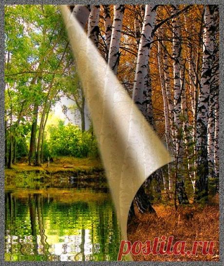 Сама природа нам даёт совет:
За увяданьем будет вновь расцвет!
И если душу посетит тоска - 
Ты вспомни эти мудрые слова!