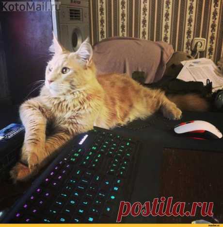 Сам себе на уме
