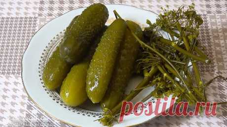 ОБАЛДЕННО ХРУСТЯЩИЕ ОГУРЦЫ НА ЗИМУ!БЕЗ УКСУСА И СТЕРИЛИЗАЦИИ!
