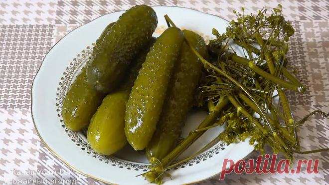 ОБАЛДЕННО ХРУСТЯЩИЕ ОГУРЦЫ НА ЗИМУ!БЕЗ УКСУСА И СТЕРИЛИЗАЦИИ!