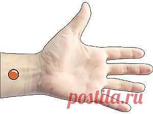 КАК ЗА ПЯТЬ МИНУТ ИЗБАВИТЬСЯ ОТ ТОШНОТЫ