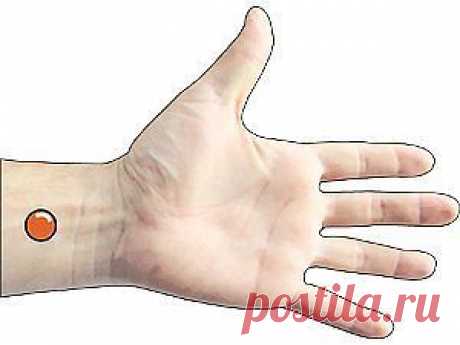 КАК ЗА ПЯТЬ МИНУТ ИЗБАВИТЬСЯ ОТ ТОШНОТЫ