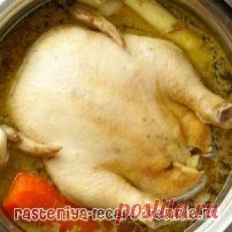 Отварная курица - рецепт на ужин и завтрак. Что приготовить?
