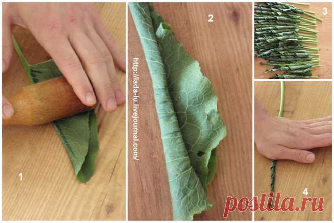 Авелук (конский щавель) - Консервация и Сохранение — ЖЖ