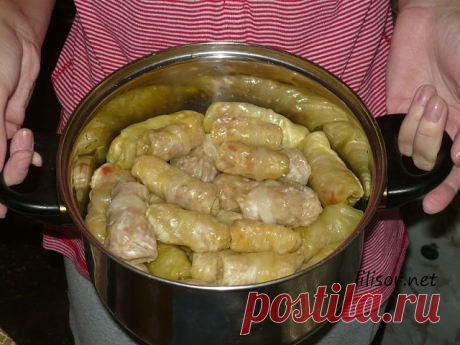 10 самых вкусных рецептов голубцов
