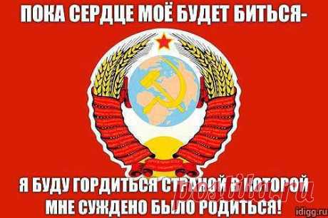Сидим по квартирам, как дикие звери....