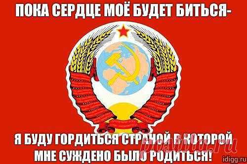 Сидим по квартирам, как дикие звери....