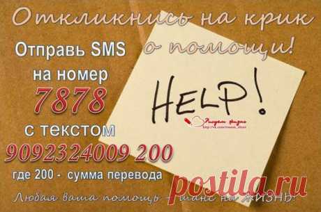 РИСУЕМ ЖИЗНЬ! Андрюша Ярославский, сбор до 12.12