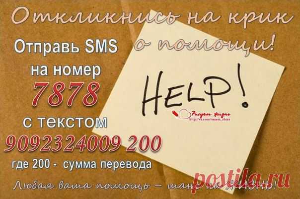 РИСУЕМ ЖИЗНЬ! Андрюша Ярославский, сбор до 12.12