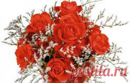 картинки цветов красивые - 464 тыс. картинок. Поиск@Mail.Ru