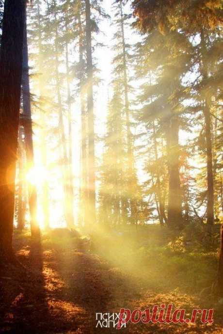 Психология