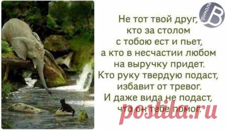 Анжелика Селиванец
Живи! Пока Тебе живётся!
Устал? Возьми и отдышись!
Упал? Держись за руку друга!
А если друга нет... Молись!

Попросят? Ты отдай, не думай.
Не оценили? Не сердись.
Закрыли дверь? Не возвращайся...
Хотят учить тебя? Учись!

Спешат предать? Не поддавайся!
А предали? Прощеньем мсти!
Открыли душу? Открывайся...
Но всё до капли не дари!

Когда-нибудь тебе придётся,
Вернуться к этим всем словам.
Живи! Пока тебе живётся!
А Бог всё видит здесь и там.