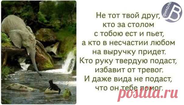 Анжелика Селиванец
Живи! Пока Тебе живётся!
Устал? Возьми и отдышись!
Упал? Держись за руку друга!
А если друга нет... Молись!

Попросят? Ты отдай, не думай.
Не оценили? Не сердись.
Закрыли дверь? Не возвращайся...
Хотят учить тебя? Учись!

Спешат предать? Не поддавайся!
А предали? Прощеньем мсти!
Открыли душу? Открывайся...
Но всё до капли не дари!

Когда-нибудь тебе придётся,
Вернуться к этим всем словам.
Живи! Пока тебе живётся!
А Бог всё видит здесь и там.