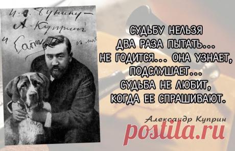 Рассуждения о жизни бесшабашного гения русской литературы Александра Куприна