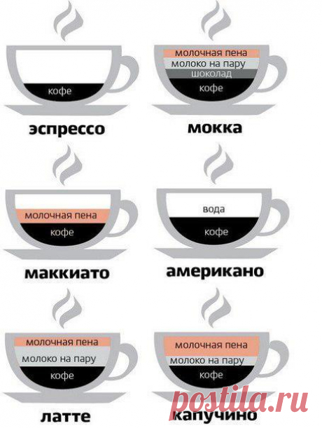 Можете ли вы безошибочно отличить латте от маккиато? Для тех, кто сомневается - наглядная инструкция