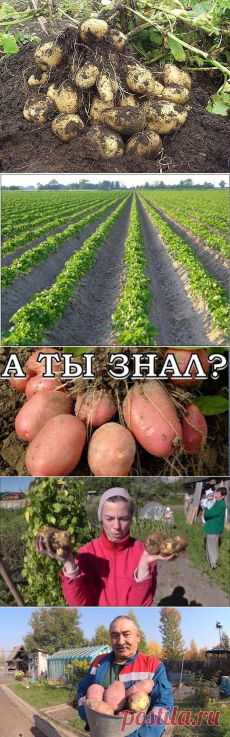 (82) Одноклассники