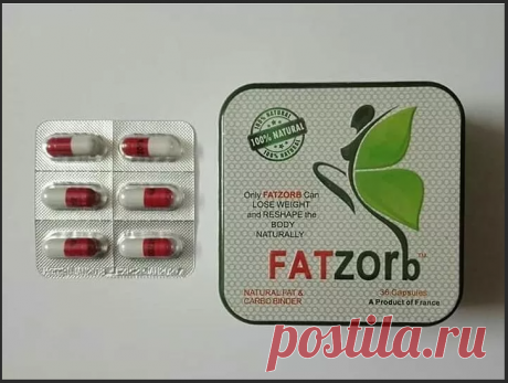 Что входит в состав капсул Фатзорб
Зеленый кофе уменьшает аппетит, придает бодрости, повышает физическую активность Корень одуванчика устраняет целлюлит, подавляет чувство голода Экстракт гибискуса стимулирует кровообращение, исключает нервное истощение организма, сжигает жир Многокомпонентный состав комплекса Фатзорб благотворно влияет не только на похудание, но и работу организма: улучшает пищеварение, исключает образование холестериновых бляшек в сосудах, повышает иммун...