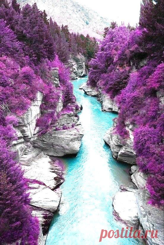 Ally Warner приколол(а) это к доске Oh the Places You'll Go <3 | Pint…