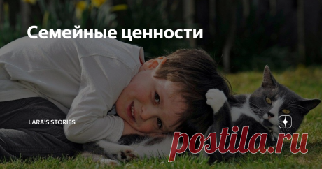 Семейные ценности Статья автора «Lara's  Stories» в Дзене ✍: - Лёлечка, если ты так хотела завести кота, то почему нужно было принести это недоразумение с помойки?