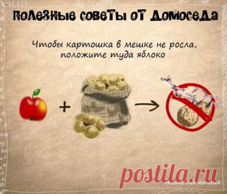 ПОЛЕЗНЫЕ БЫТОВЫЕ СОВЕТЫ | Ваш Дом