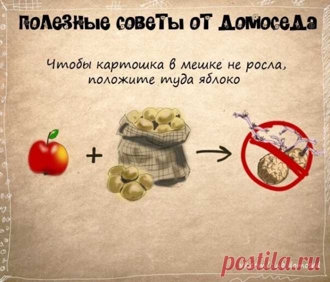 ПОЛЕЗНЫЕ БЫТОВЫЕ СОВЕТЫ | Ваш Дом