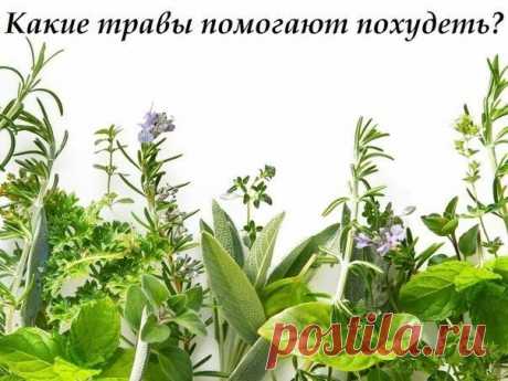 Женский журнал