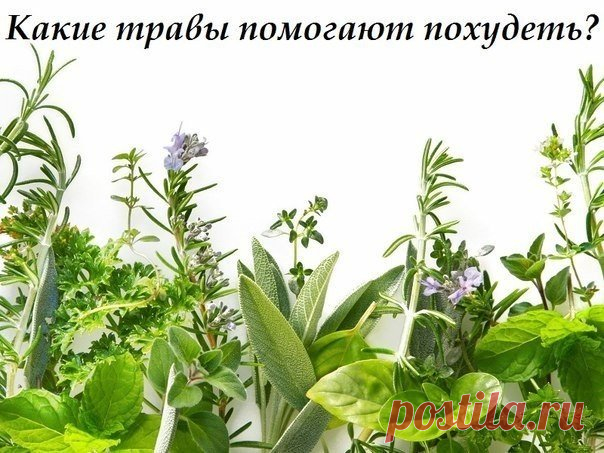 Женский журнал