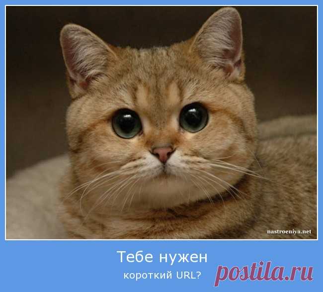 укорачивание ссылок