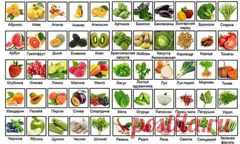 ВСЕ ПРОДУКТЫ ОТ: А ДО Я: 1 тыс изображений найдено в Яндекс Картинках