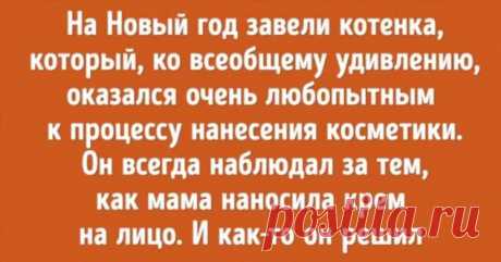 20 случаев, когда домашние любимцы проявили недюжинную смекалку . Милая Я