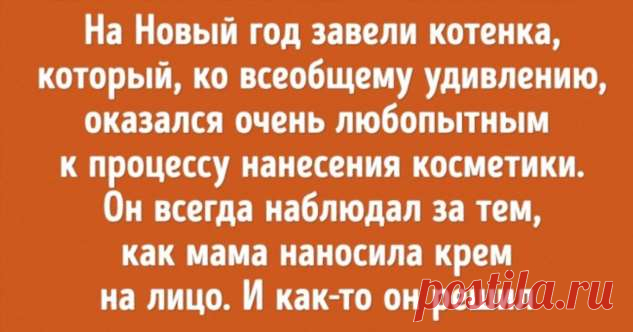 20 случаев, когда домашние любимцы проявили недюжинную смекалку . Милая Я