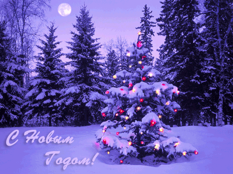 "В лесу родилась ёлочка..." - интересные факты истории песни