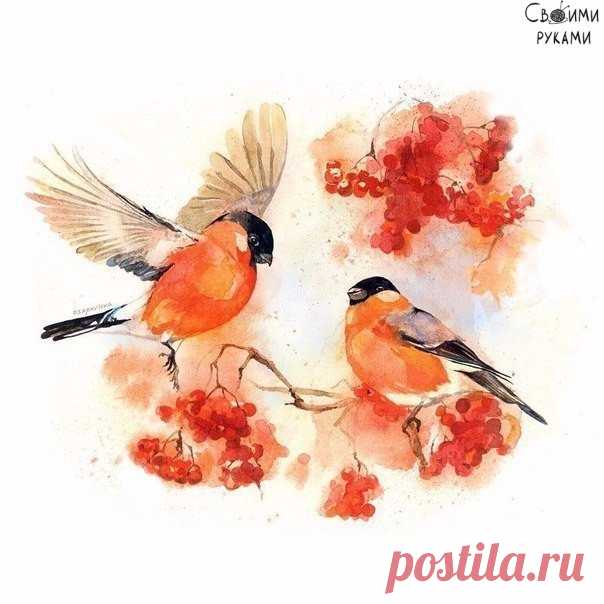 Снегири, нарисованные акварелью — Сделай сам, идеи для творчества - DIY Ideas