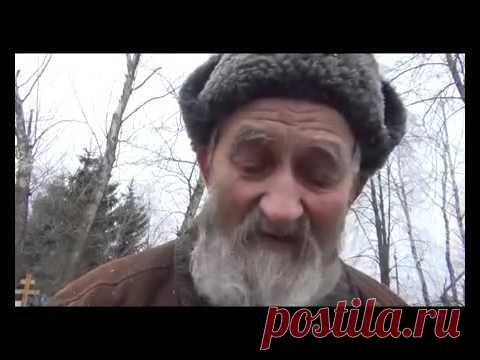 пророчества блаженной Пелагеи Рязанской