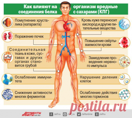 Питание против старения: что такое КПГ и чем опасен сахар