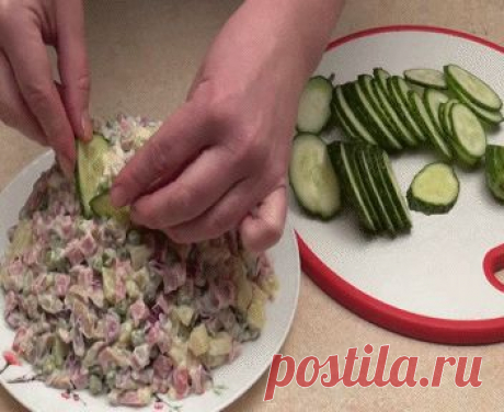 Салат Зеленая роза