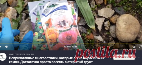 Яндекс