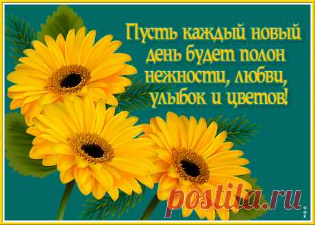 Советская открытка с цветами