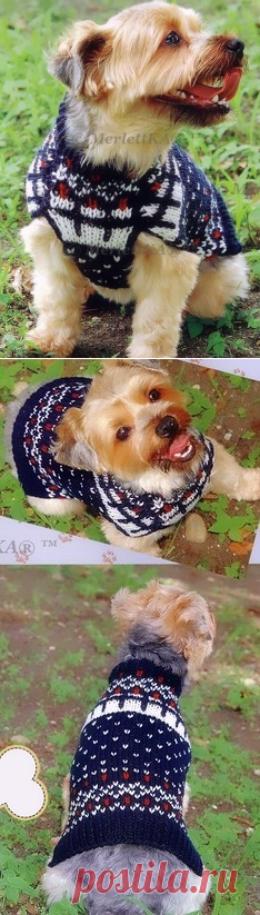Утепляем любимок - вяжем безрукавку спицами.